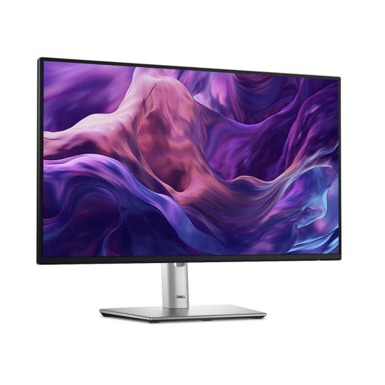 Dell Pro 24 Monitor 